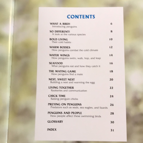 Animal Books for Kids - Picture 4 of 9